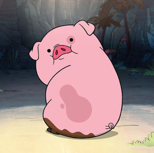 Meet your Posher, Joao pedro